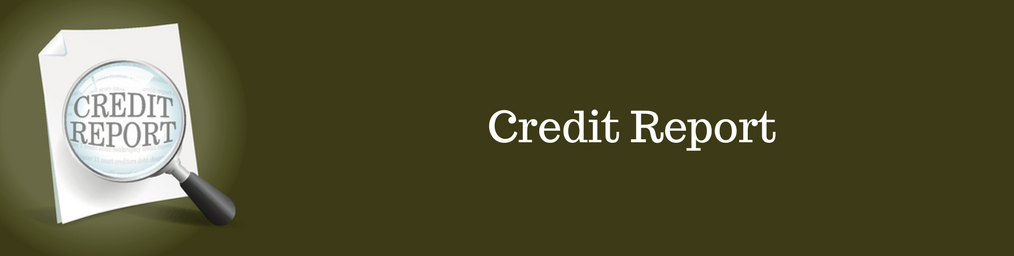 Credit Report